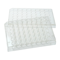 Celltreat Tissue Culture Plate, Sterile, 48-Well 229148